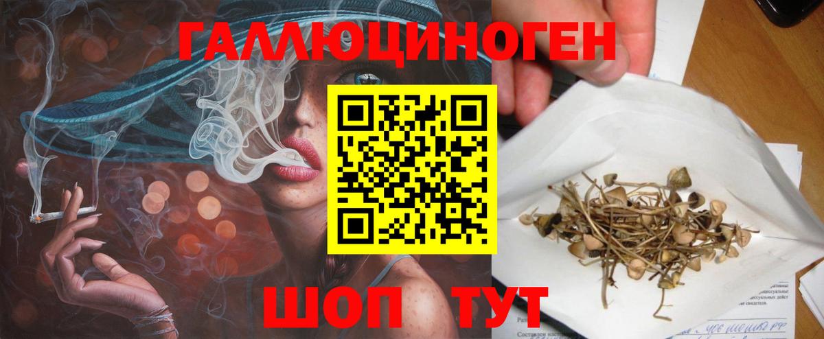 Псилоцибиновые грибы Cubensis  Псилоцибиновые грибы Magic Shrooms  Кемерово  Вход с VPN 